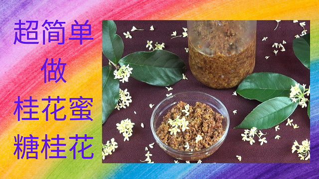 Osmanthus Honey-426a33c2